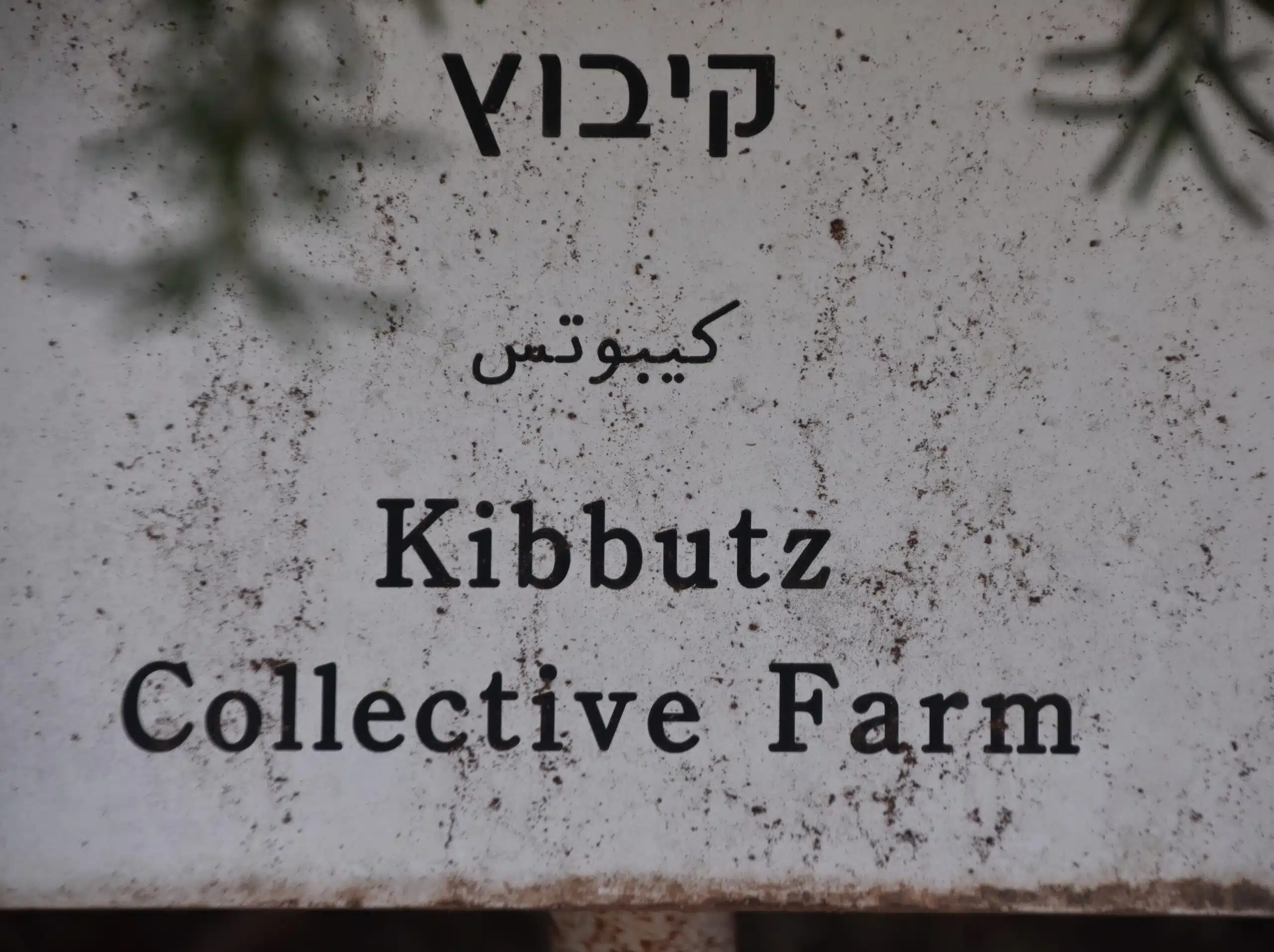 Guerre Israël-Hamas